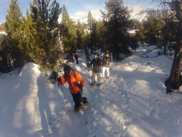  Snowshoes 